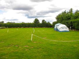 Grass Pitch with Electric Hook up