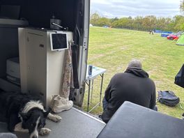 Peaceful, spacious non electric field