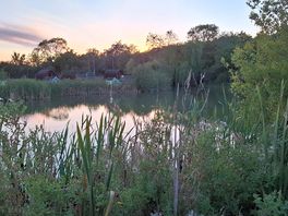 Sundown lake view