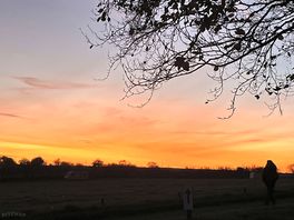 Sunset at the farm 😊