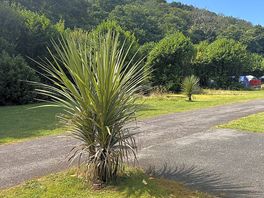 H7a pitch