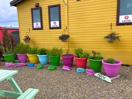 Colourful pots of herbs!