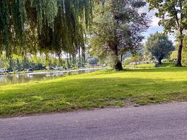 Campsite view