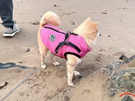 Enjoying the beautiful beach