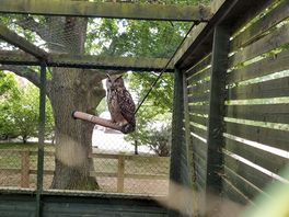 Bird sanctuary on site