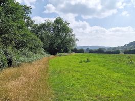 View of the site