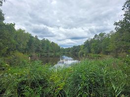 View of the lake situated directly behind the campsite, offering a great walk.