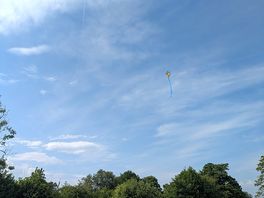 Watching our neighbours playing badminton and flying a kite.