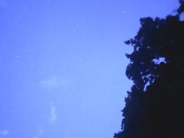 Stars