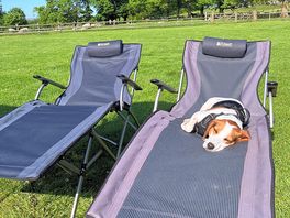 Super relaxed 🐾