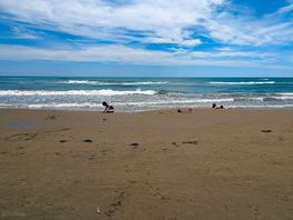 Vieste beach