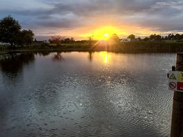 Looking over the lake