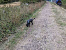 Walk down the cut