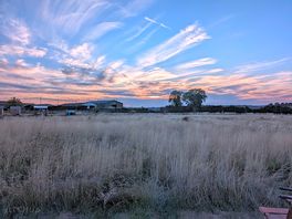 Field