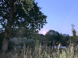 Full moon rising over campsite
