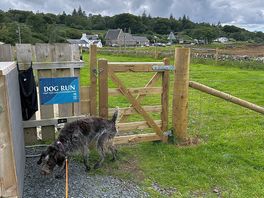 Dog run
