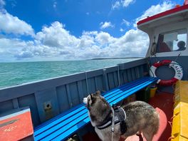 Ahoy there