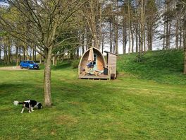 Camping pod