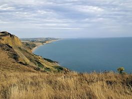 Top of cliffs by site