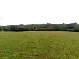 Campsite