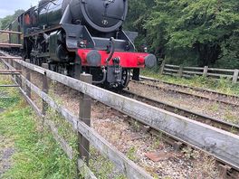 Nymr nearby