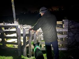 Don’t forget your torches