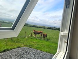 Great neighbours
