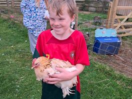 The chicken loves cuddles