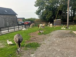 Farm photo