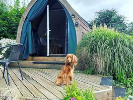 Arrival at glades farm glamping