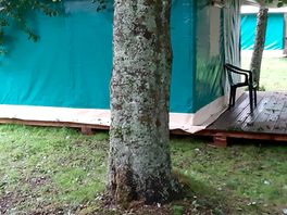 Pods advised in storm season.