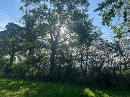 Beautiful morning