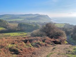 View from the coastal path west of seatown.