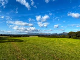 Local walk