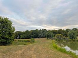 Field by top pond