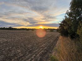 Perfect evening