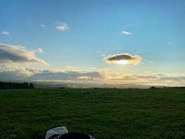 Morning views