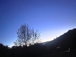 Night skies were absolutely beautiful