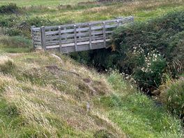 Bridge over stream on site