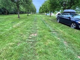 Orchard