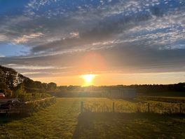 Sunset pitch 8