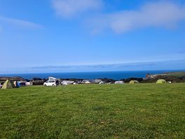 View at the site