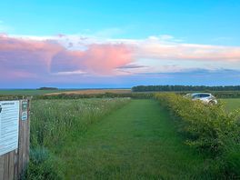 Open fields x