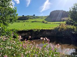 Views from lower wild camping field
