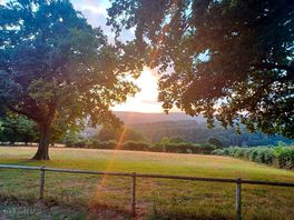 A beautiful sunset