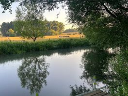 5:30am july by the river