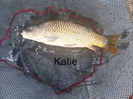 Great fishing