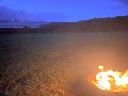 Free firepit