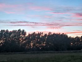 Gorgeous skies