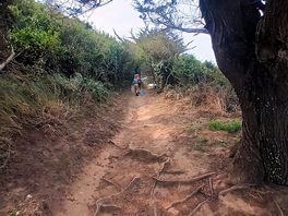 Der wanderweg zur nächsten bucht